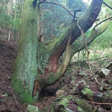 みさおさんのプロフィール画像