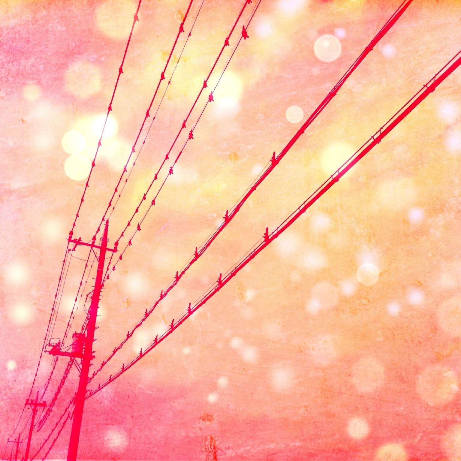 ひろっくさんのプロフィール画像