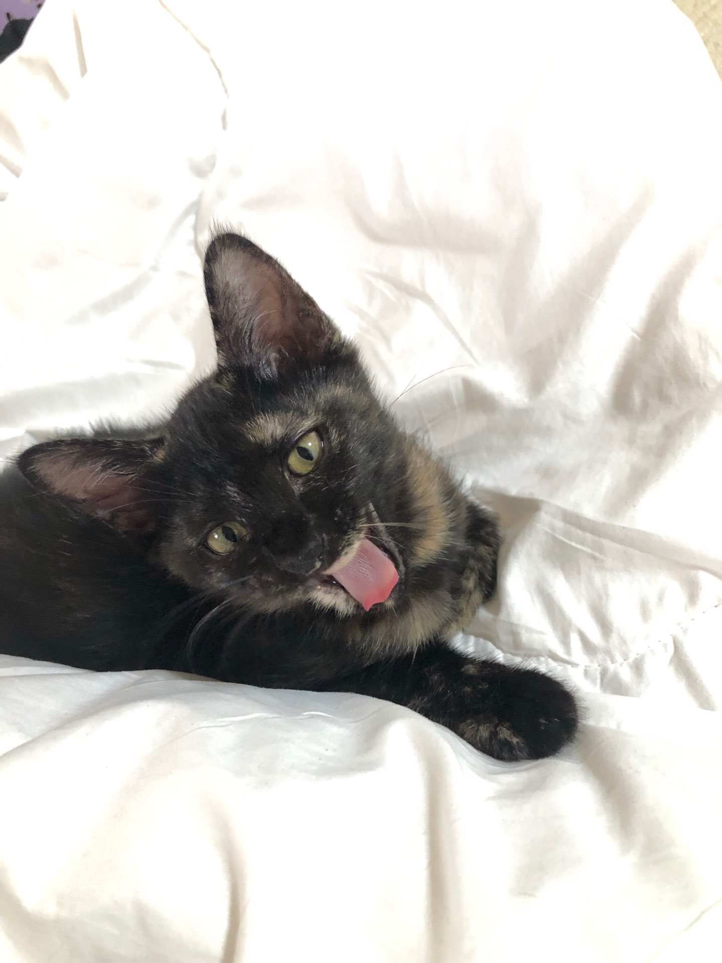 和美さんのプロフィール画像