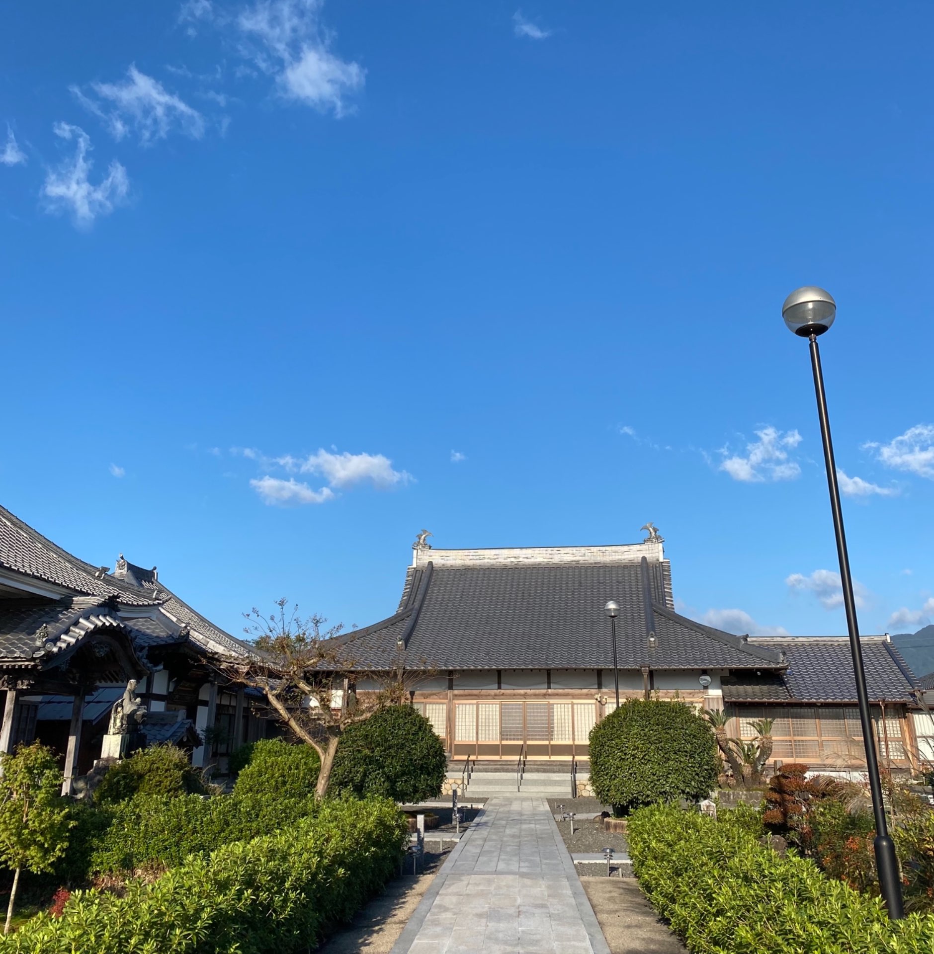 養泉寺さんのプロフィール画像