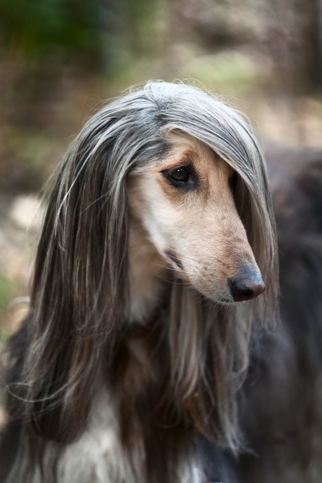 けんじんさんのプロフィール画像