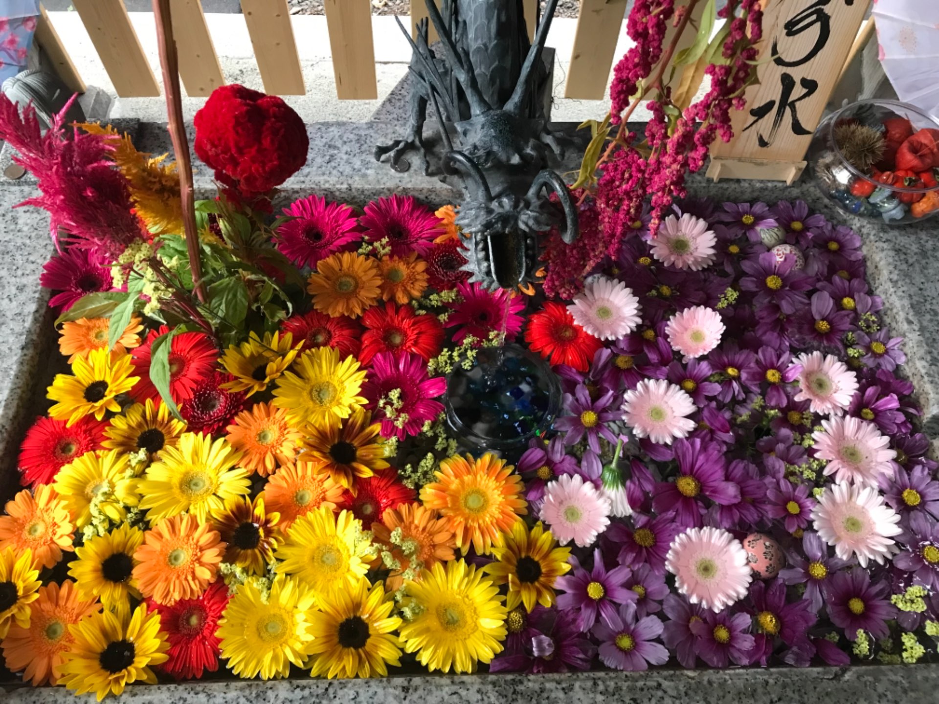 すずこさんのプロフィール画像