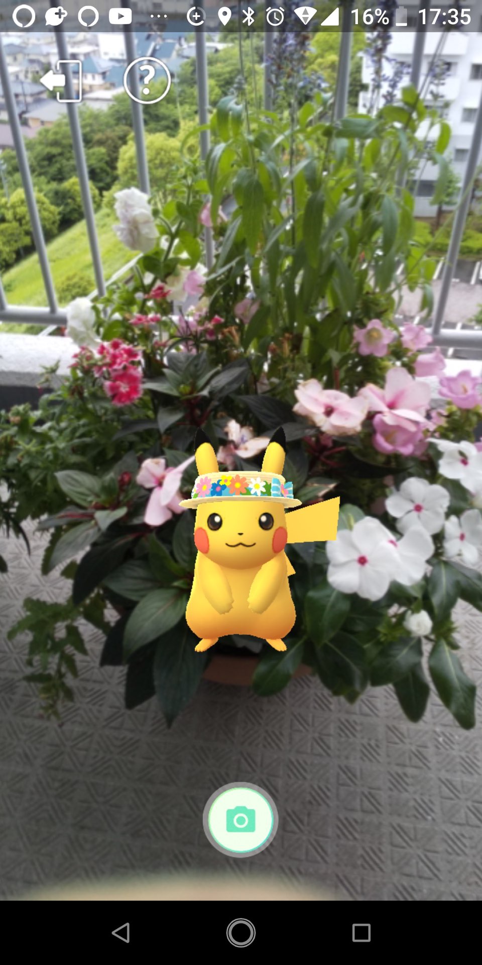 オーロラさんのプロフィール画像