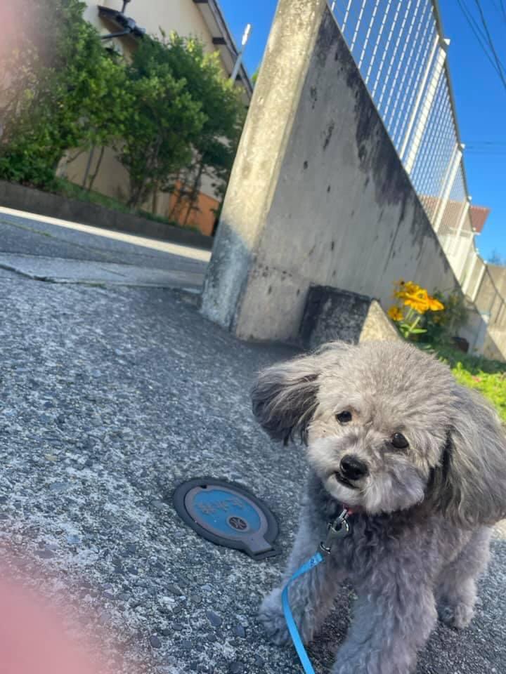 ぴいぼさんのプロフィール画像