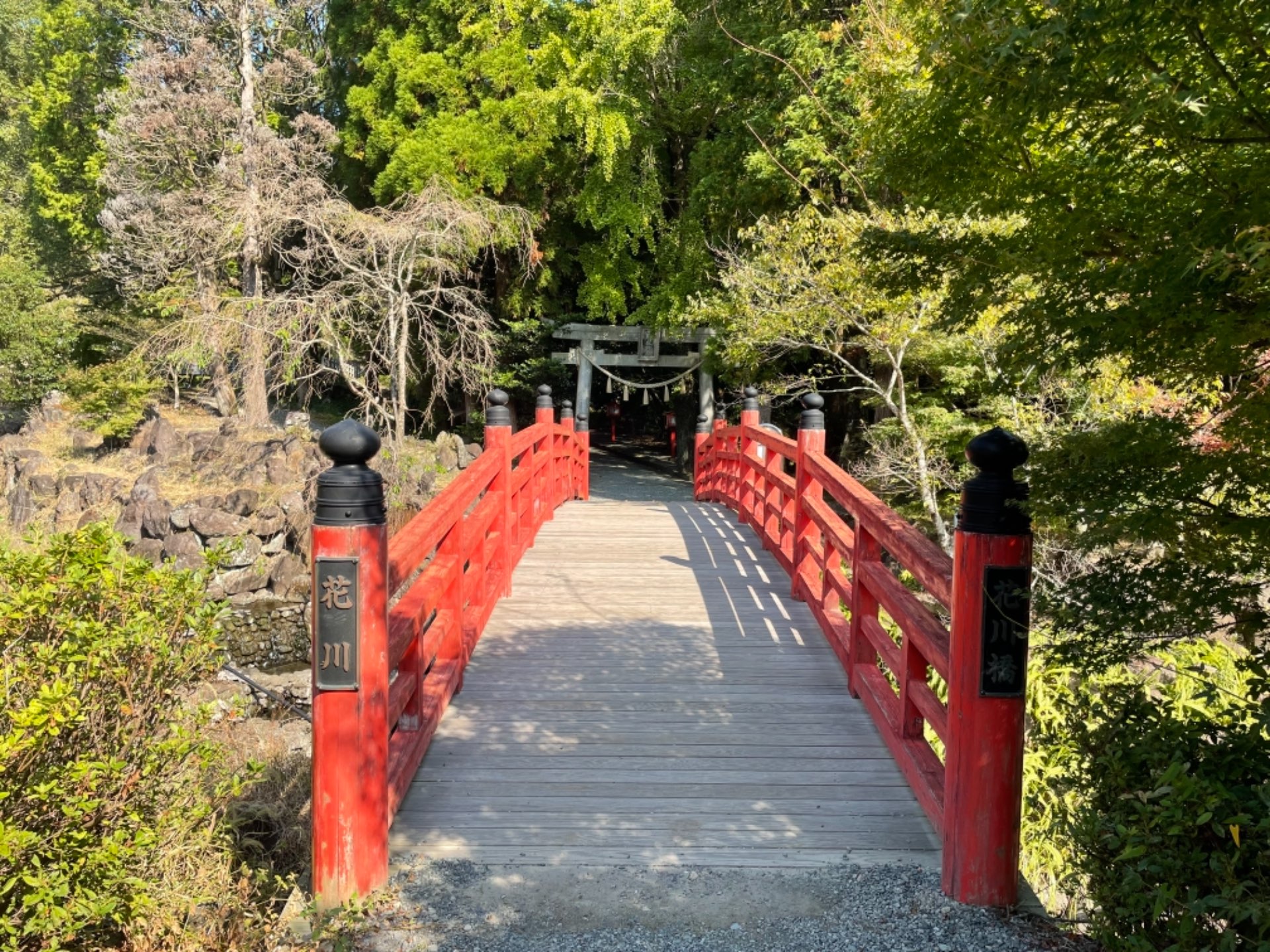 takaさんのプロフィール画像