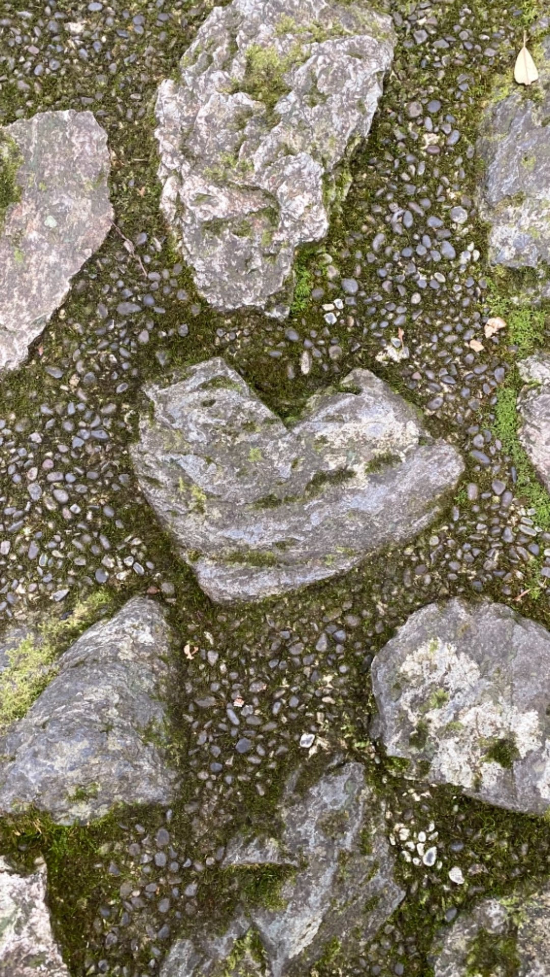 ゆうきさんのプロフィール画像