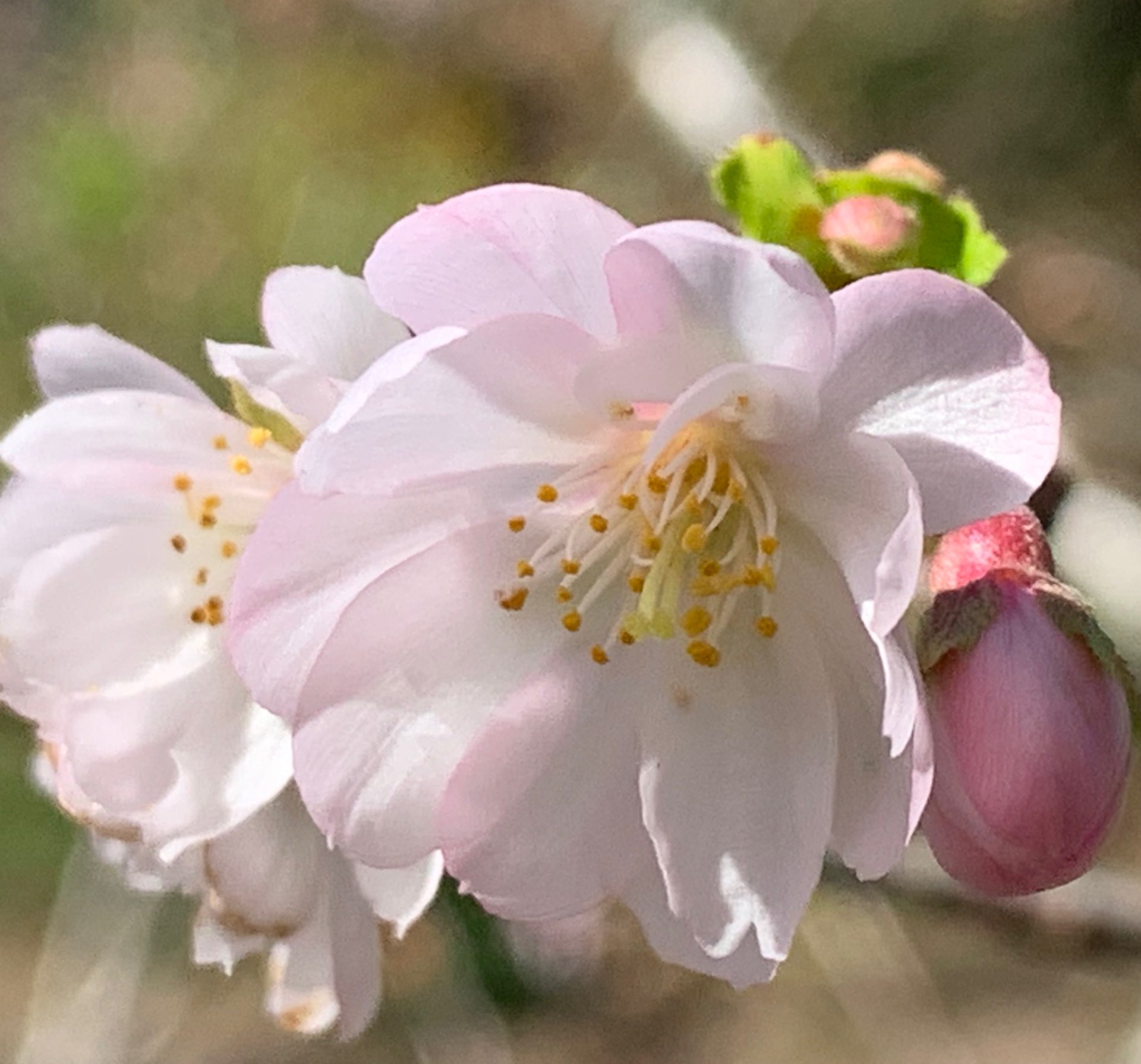 namiさんのプロフィール画像