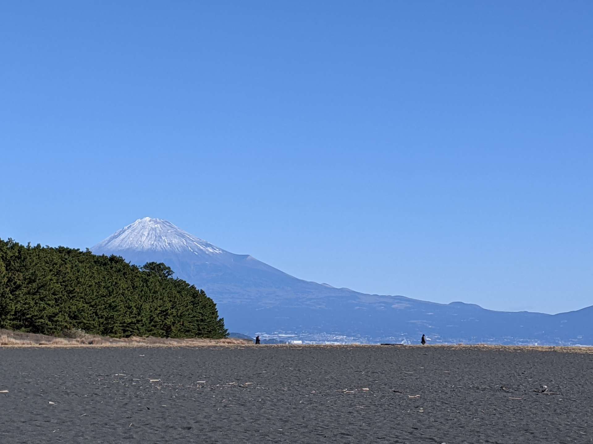シバさんのプロフィール画像