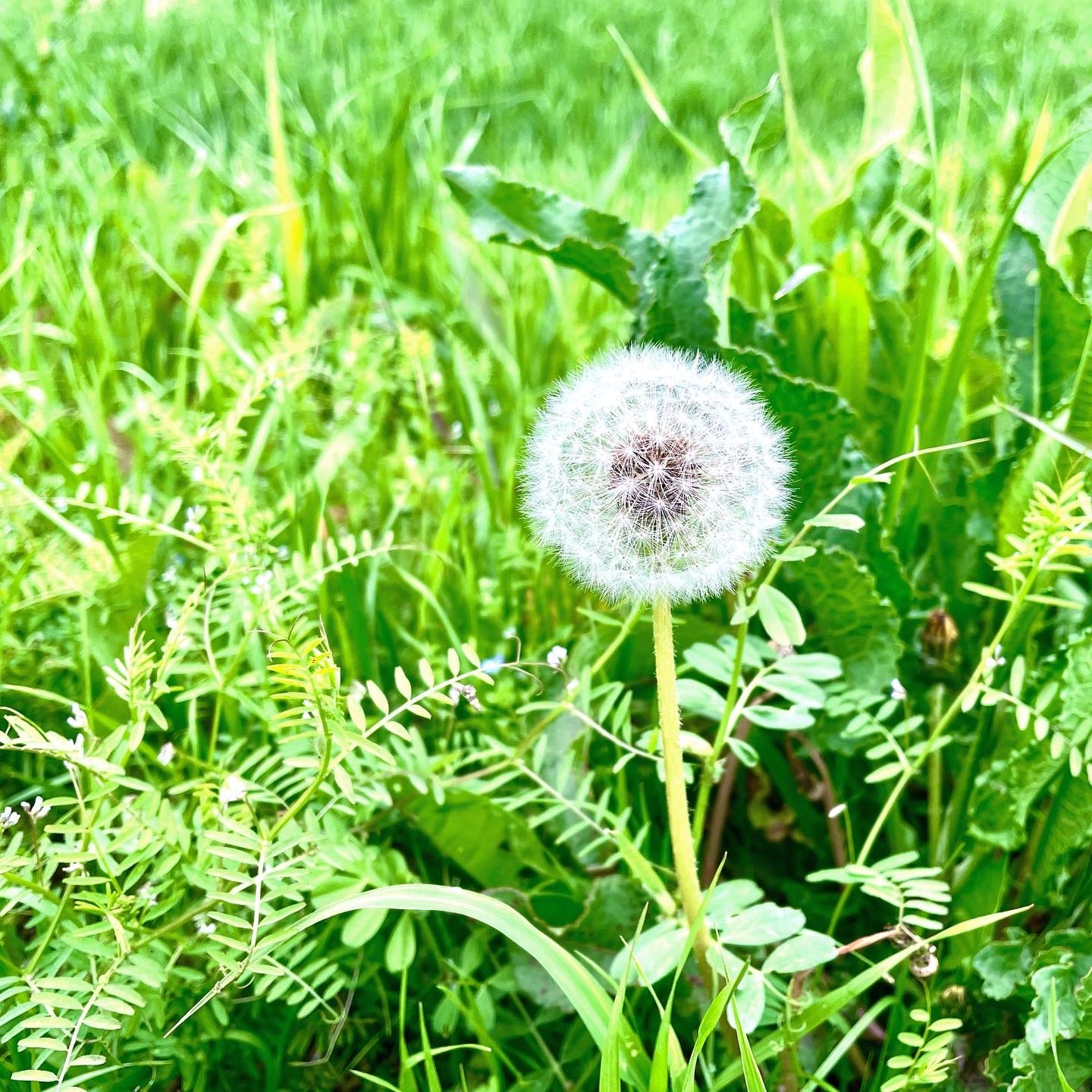 satoさんのプロフィール画像