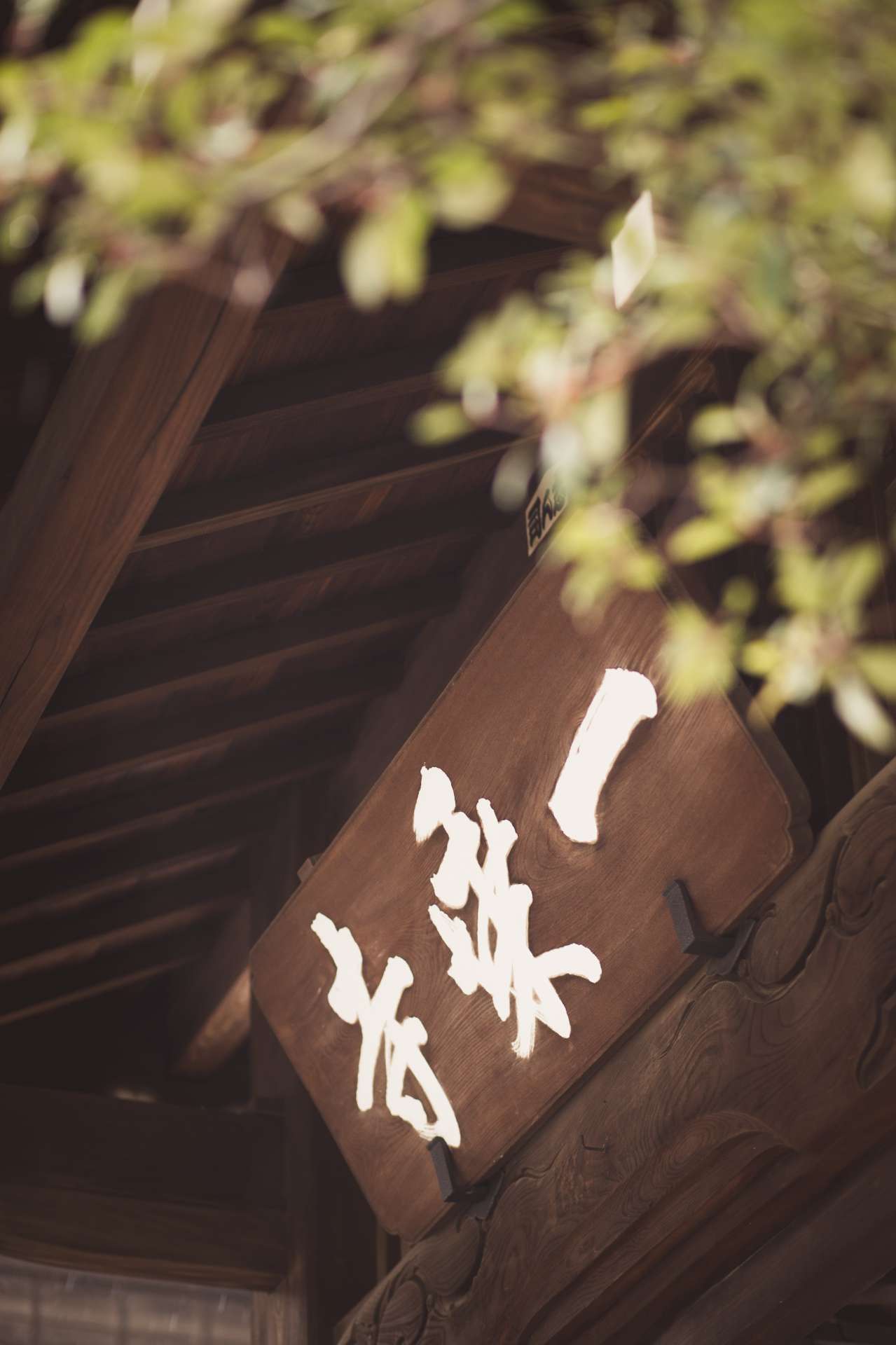 東京 谷中 一乘寺さんのプロフィール画像