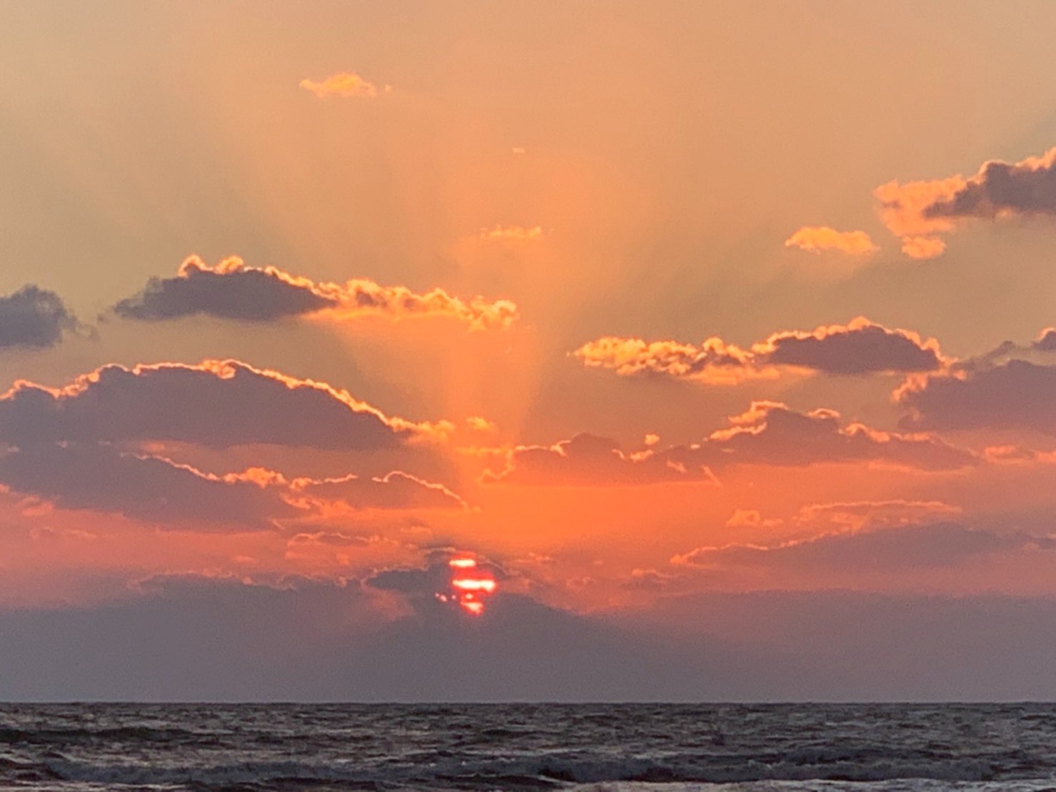 ひめみきさんのプロフィール画像