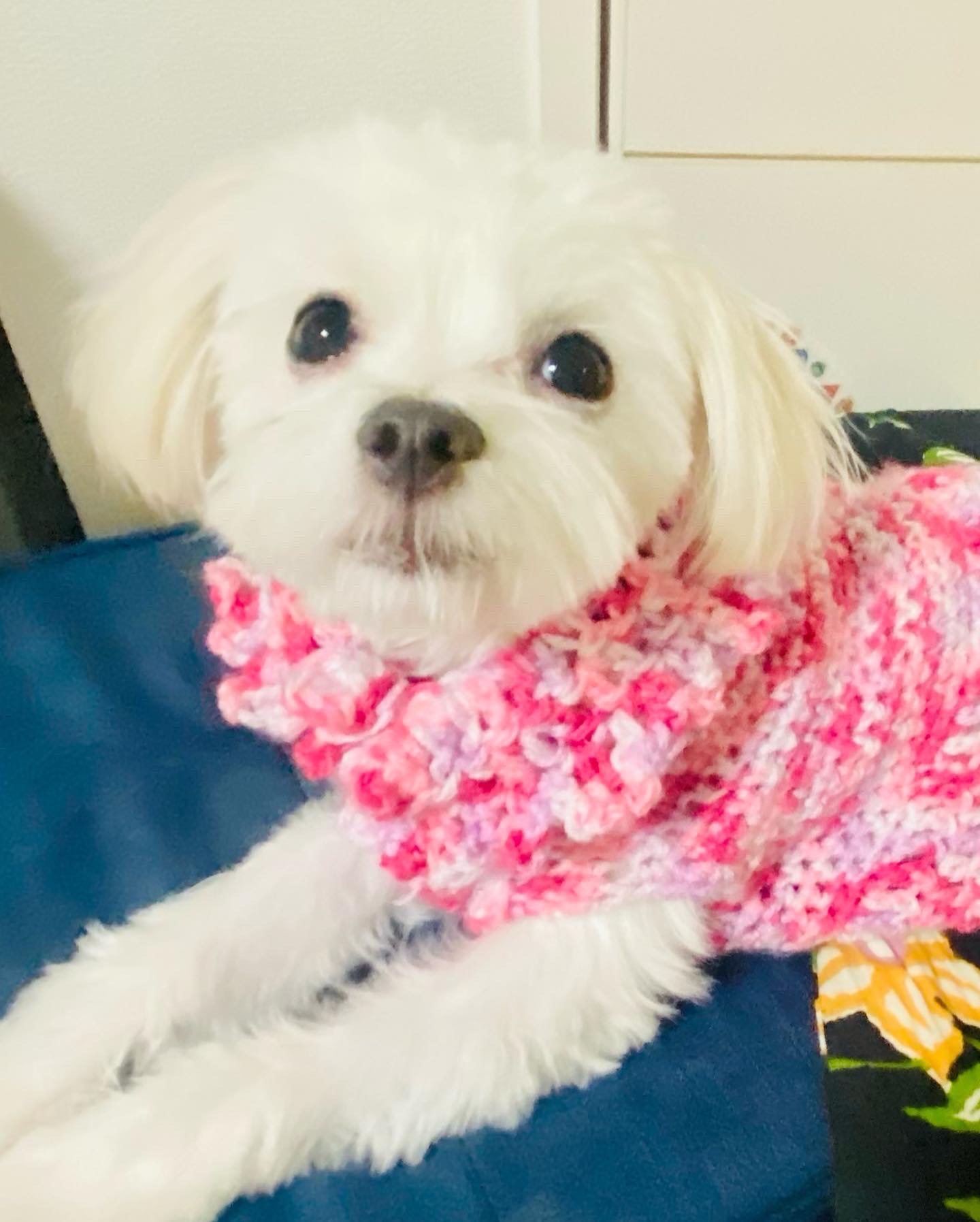 エリツィンさんのプロフィール画像