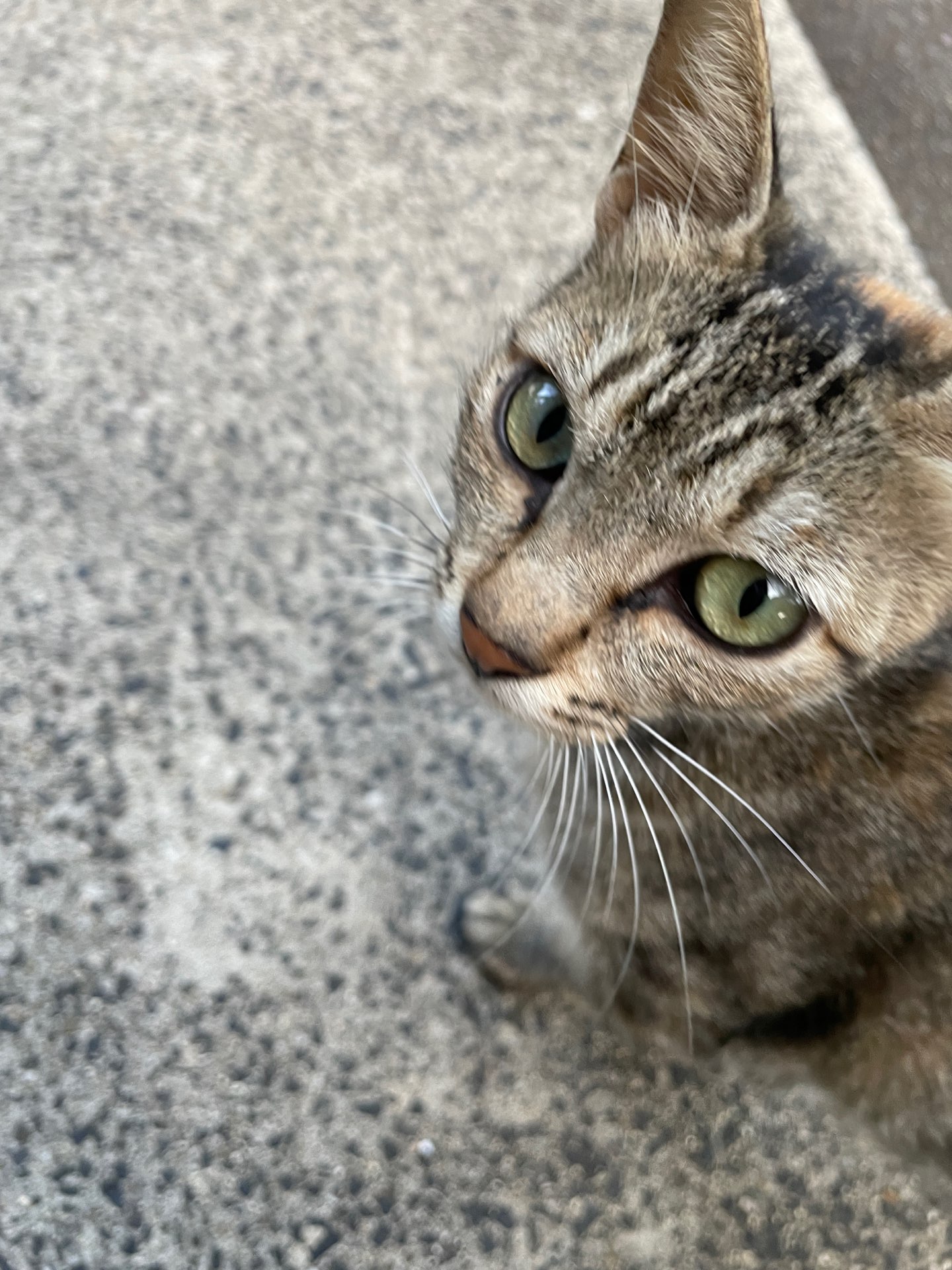 きゅうしょうさんのプロフィール画像