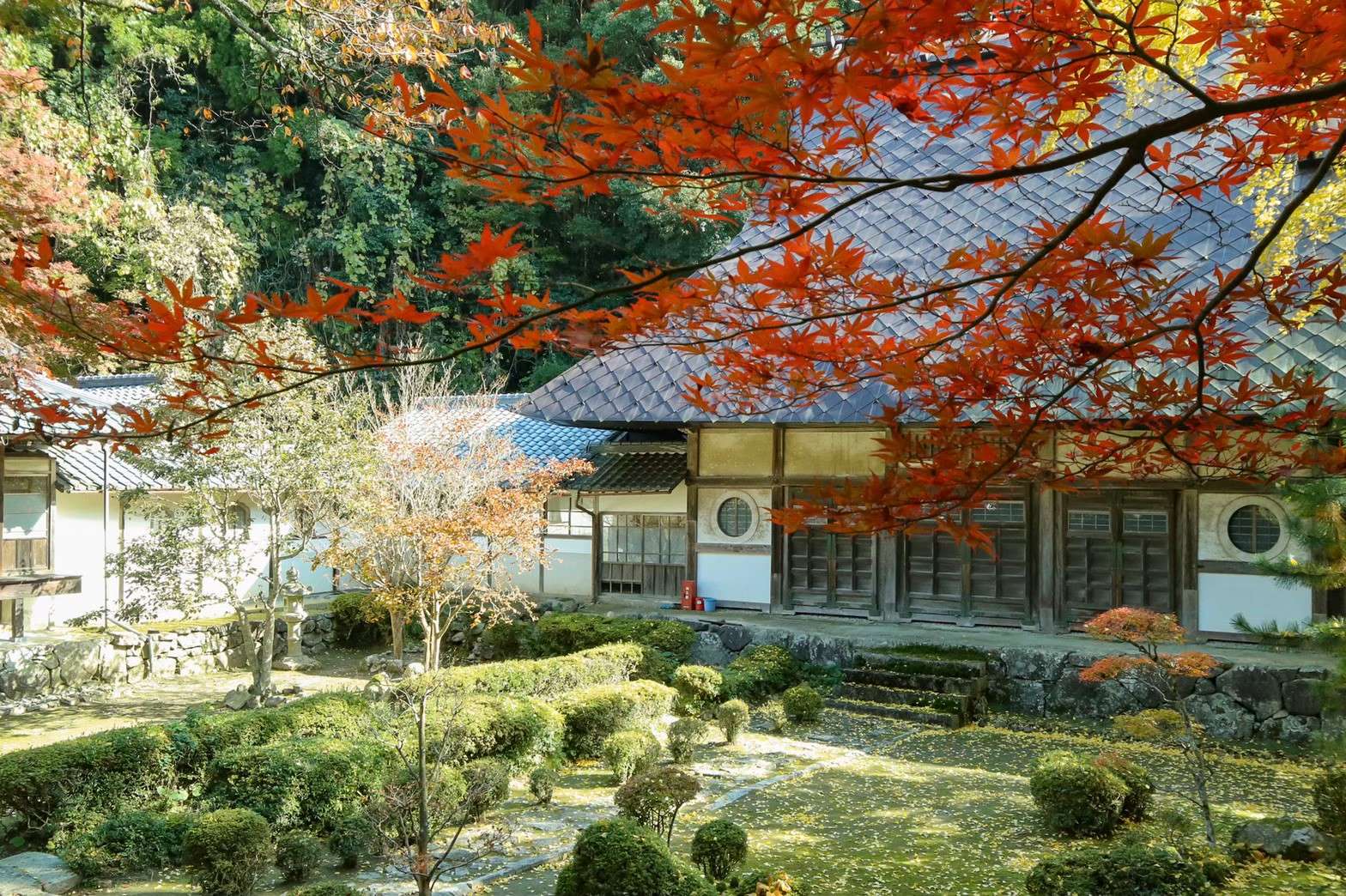 法常寺住職さんのプロフィール画像