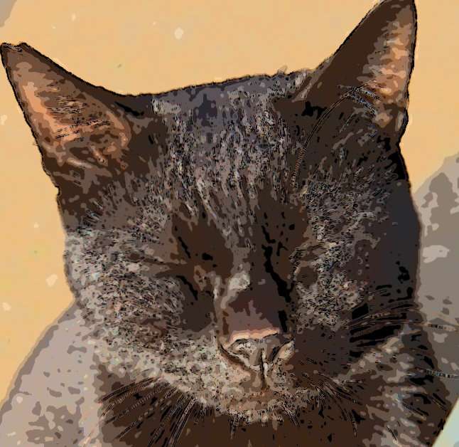 港の浜ちゃんさんのプロフィール画像