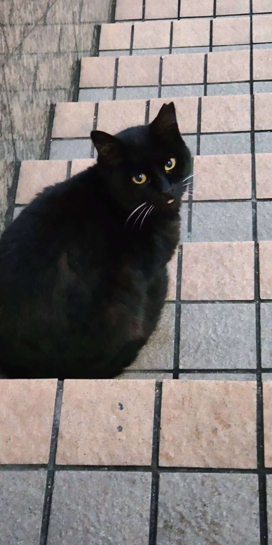 こりんごさんのプロフィール画像