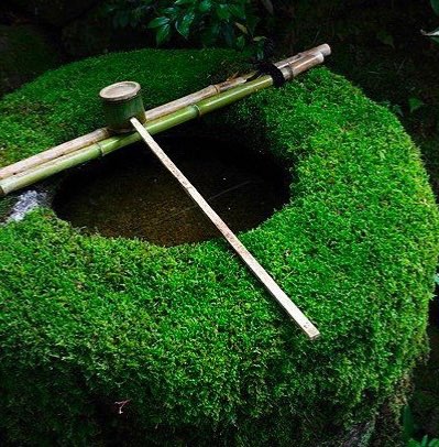 岩井 眞太朗さんのプロフィール画像