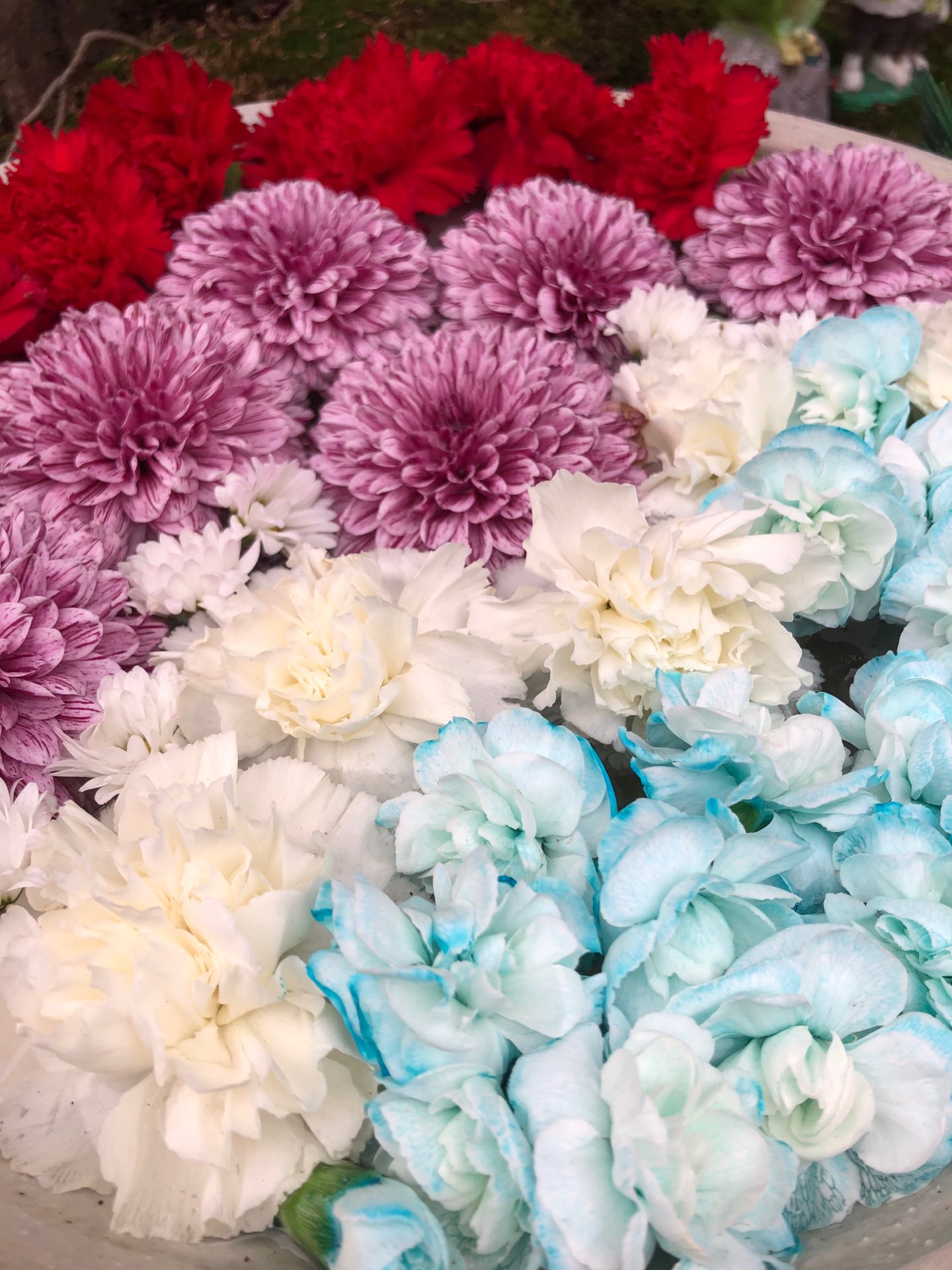 りなさんのプロフィール画像