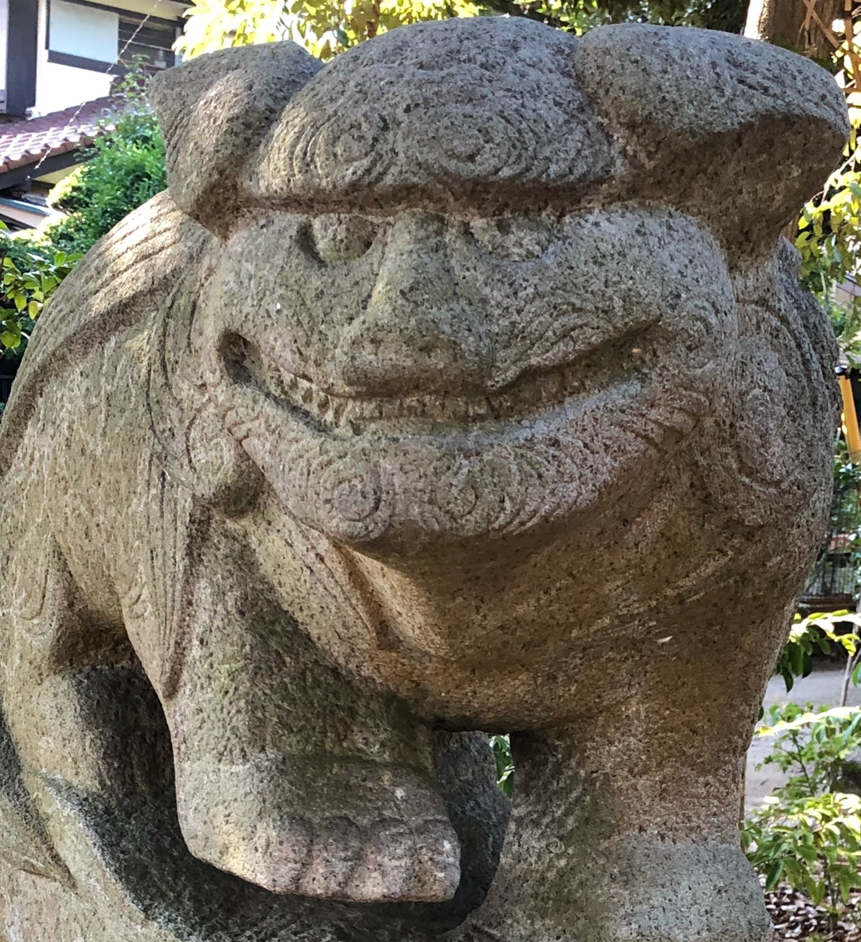 mickeyさんのプロフィール画像