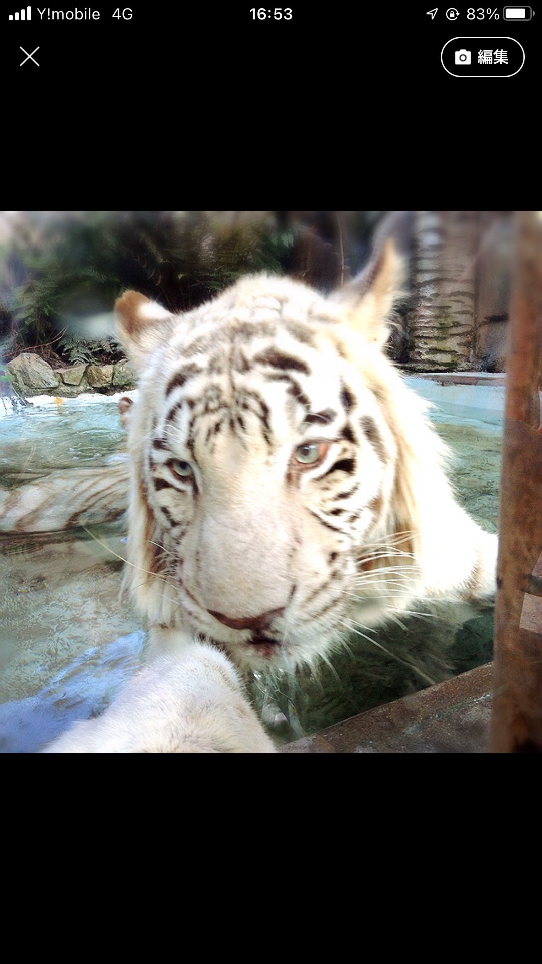 KAAZさんのプロフィール画像