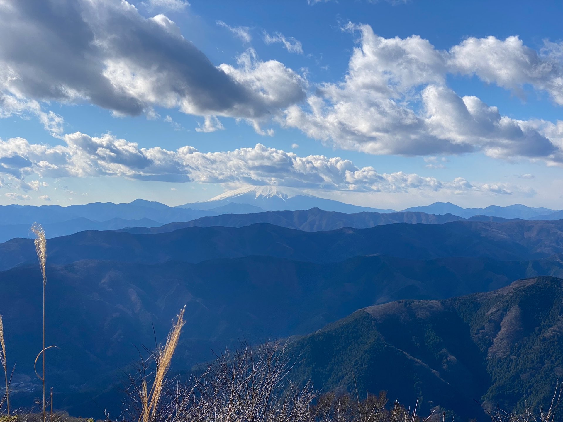 オカケンさんのプロフィール画像