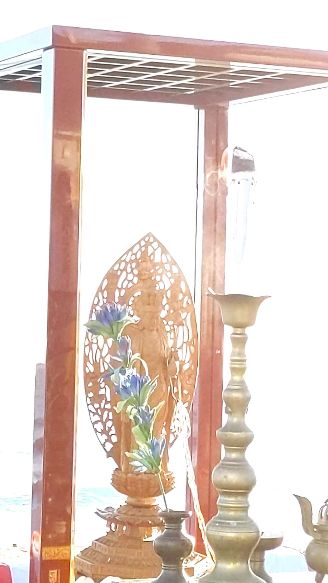 大平むつきさんのプロフィール画像