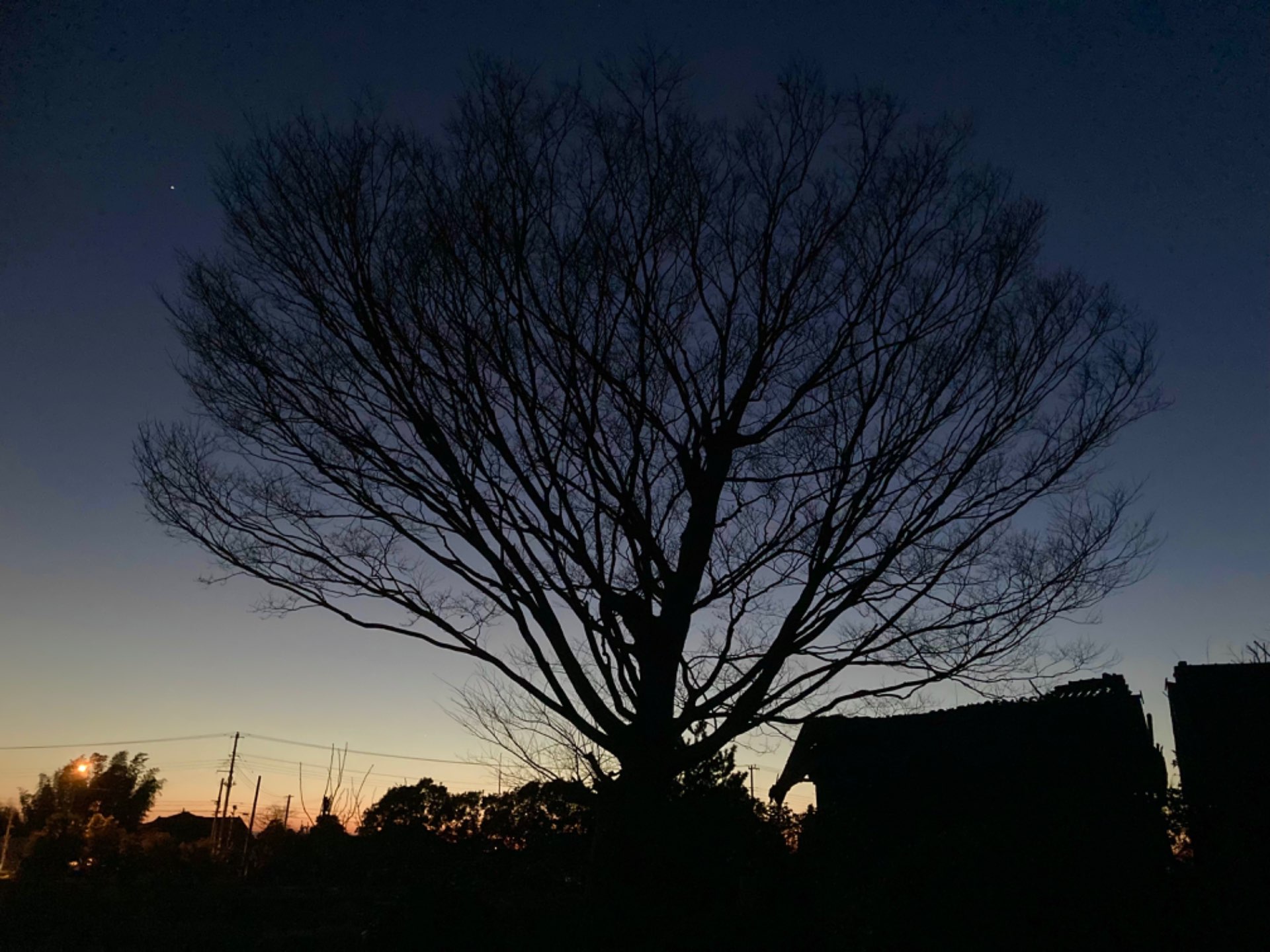 とますさんのプロフィール画像