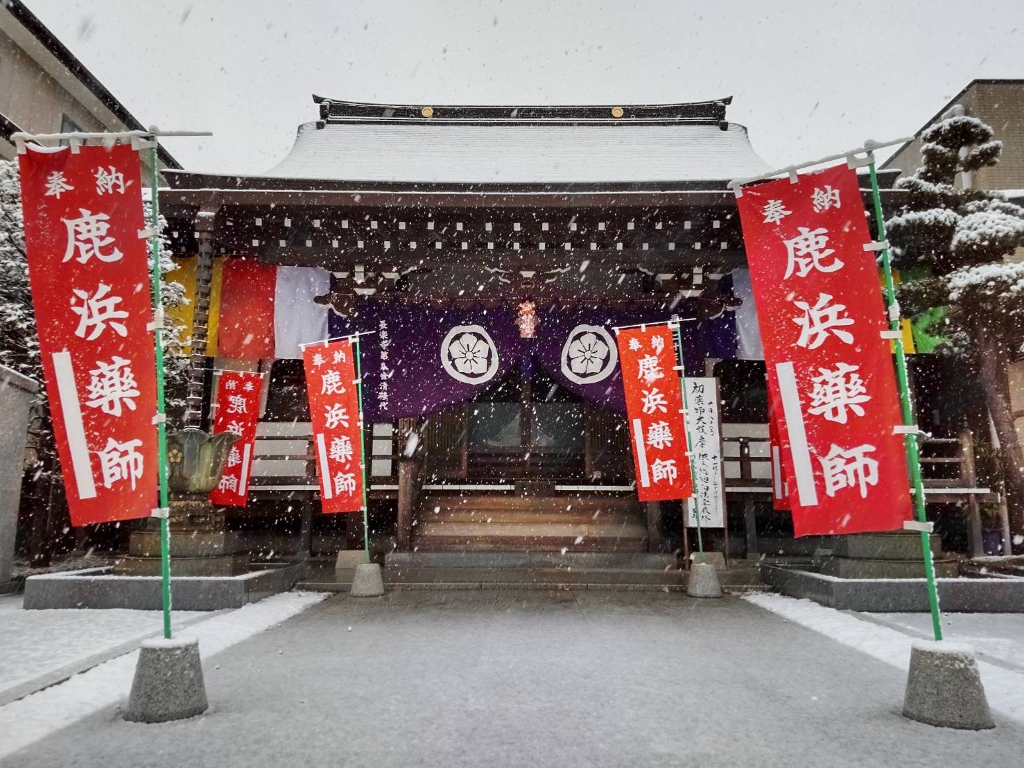 鹿浜薬師さんのプロフィール画像