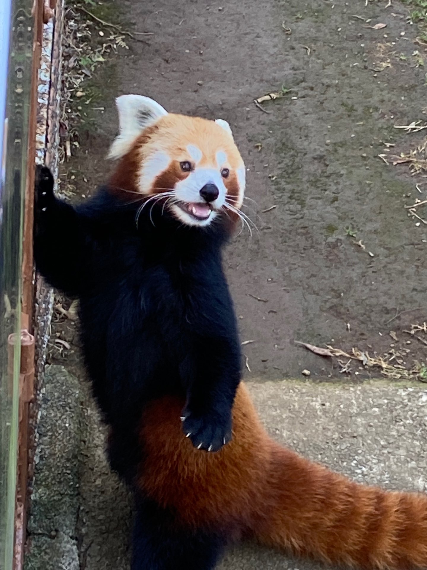 prinさんのプロフィール画像