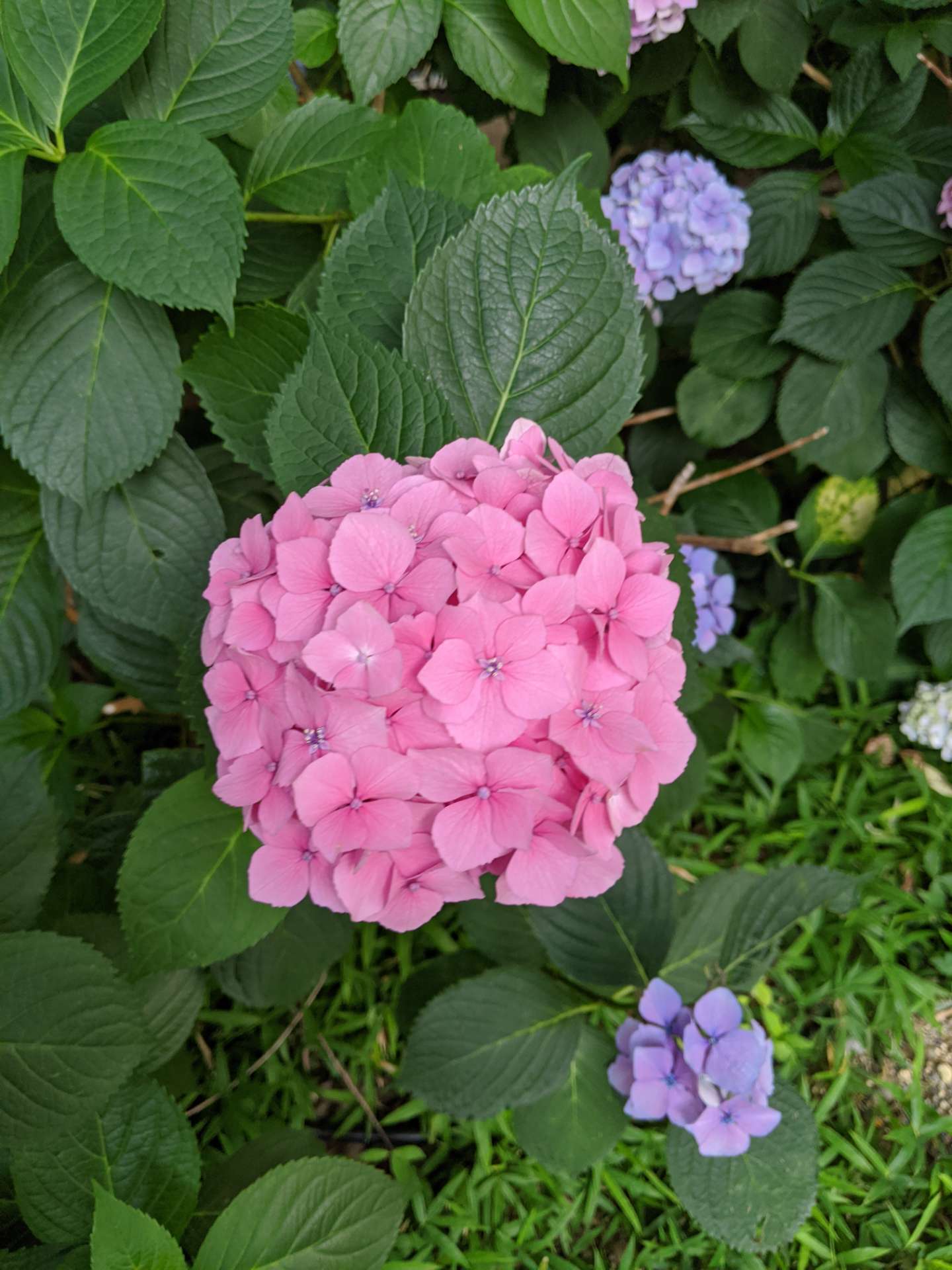 naoさんのプロフィール画像