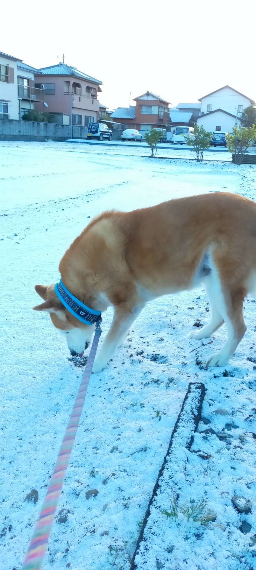 MUKUさんのプロフィール画像