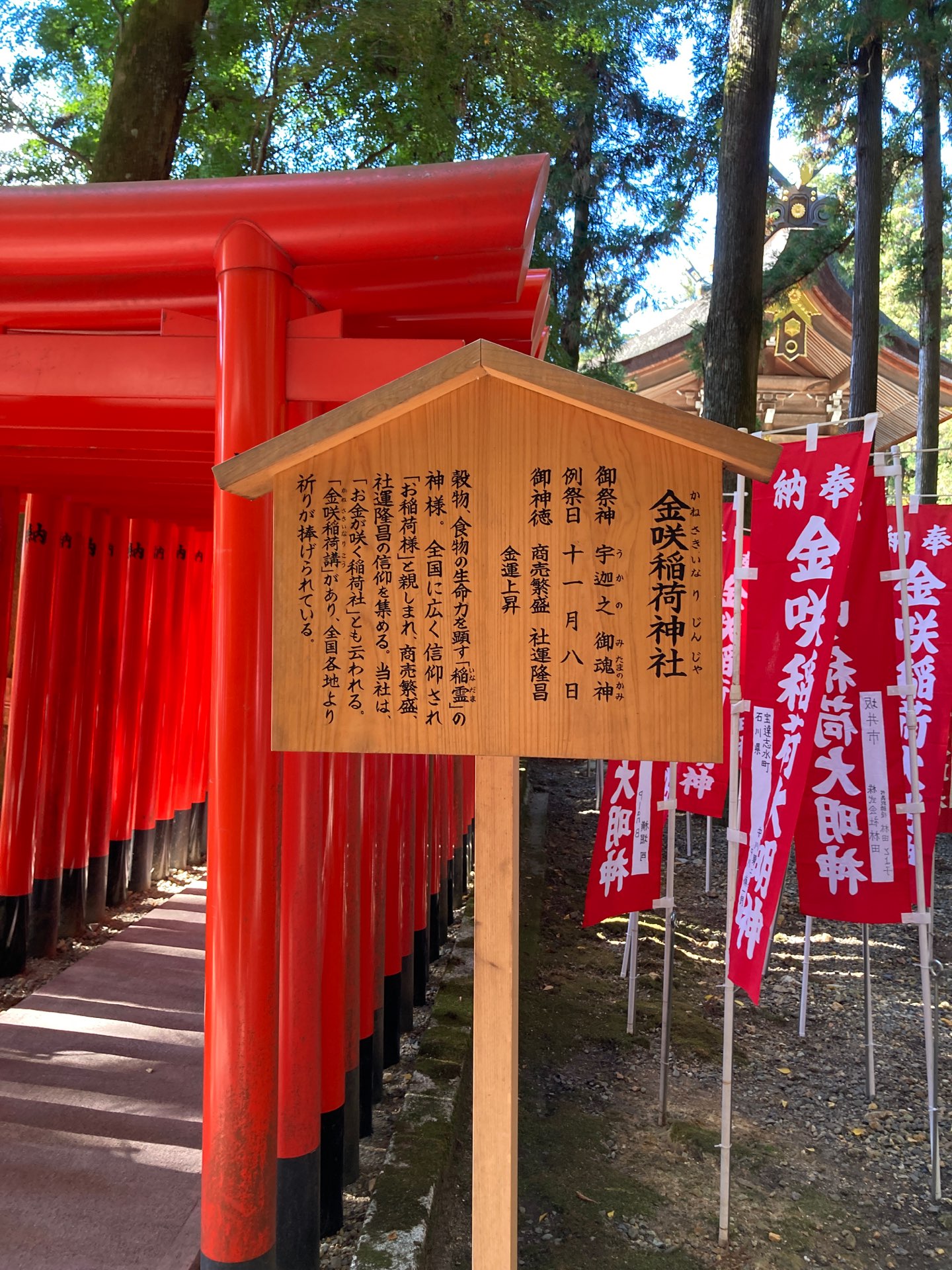 にこにこぷんさんのプロフィール画像