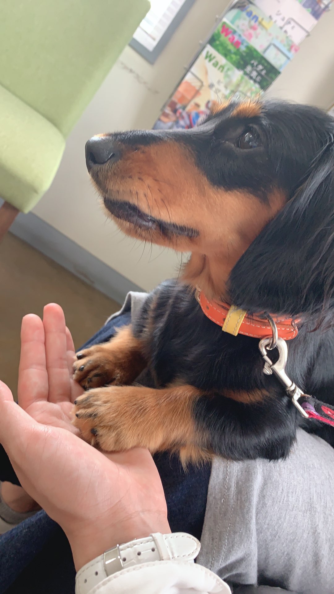 冬月さんのプロフィール画像