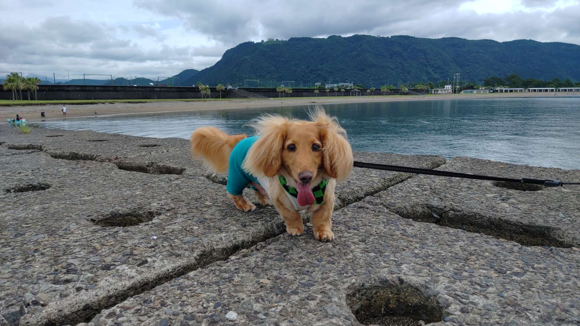 marenさんのプロフィール画像