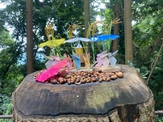 あおばさんのプロフィール画像