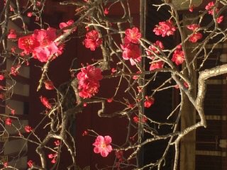 タカさんのプロフィール画像