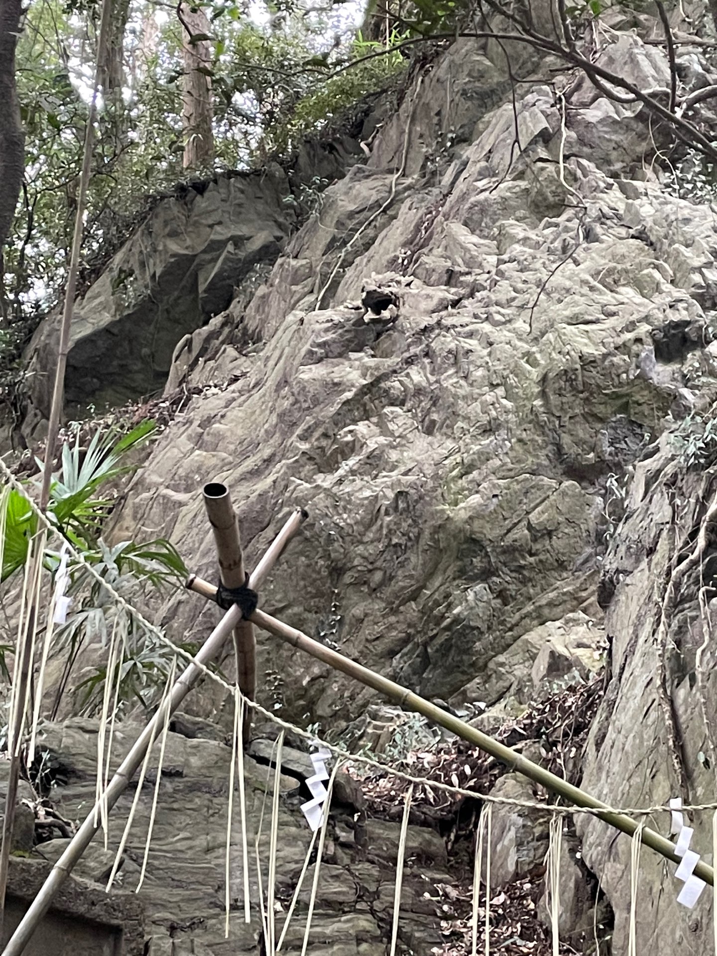 katomichさんのプロフィール画像