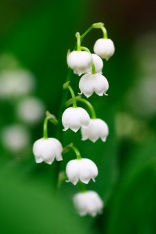 ゆんあみさんのプロフィール画像