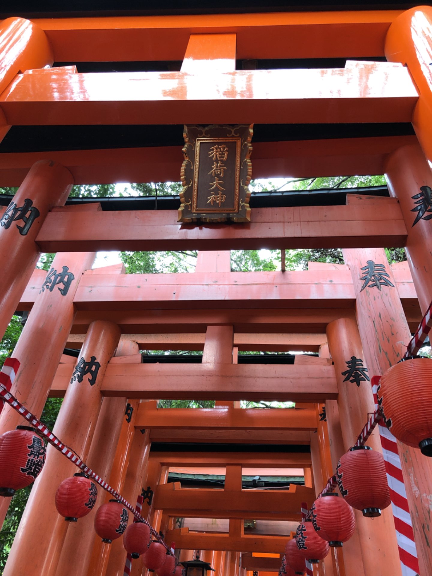 うさきちさんのプロフィール画像