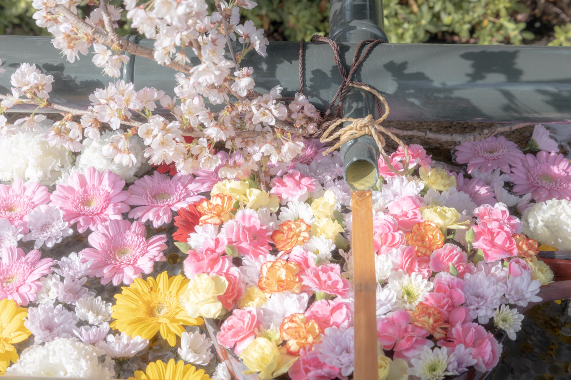 ａさんのプロフィール画像