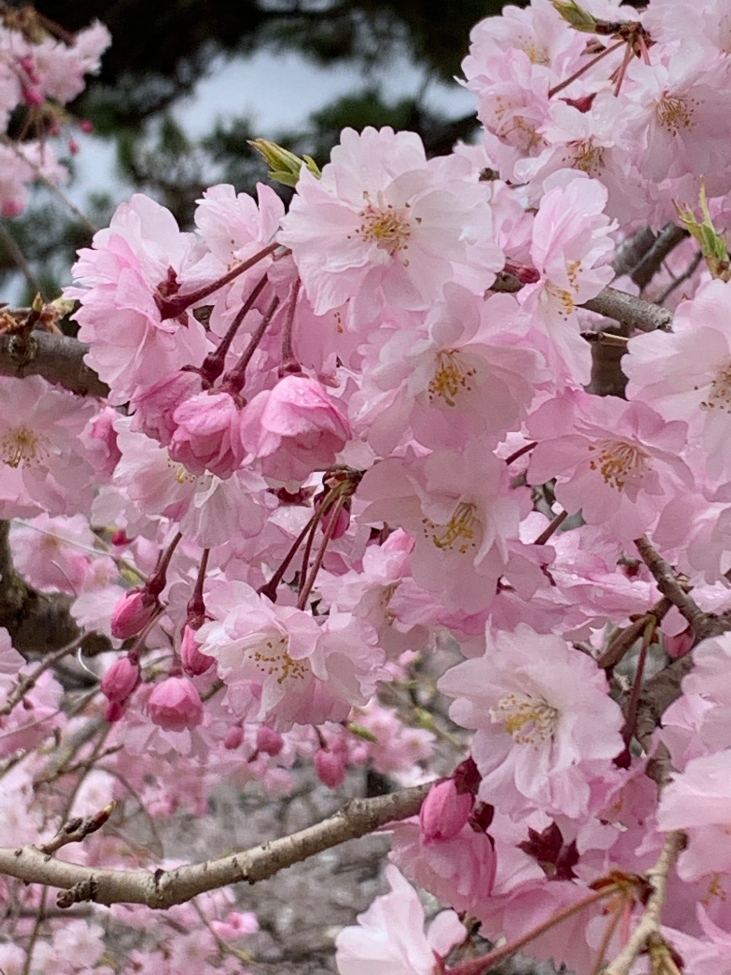 MND816さんのプロフィール画像