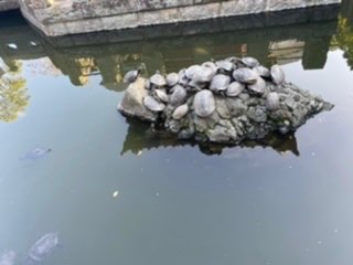 静音さんのプロフィール画像