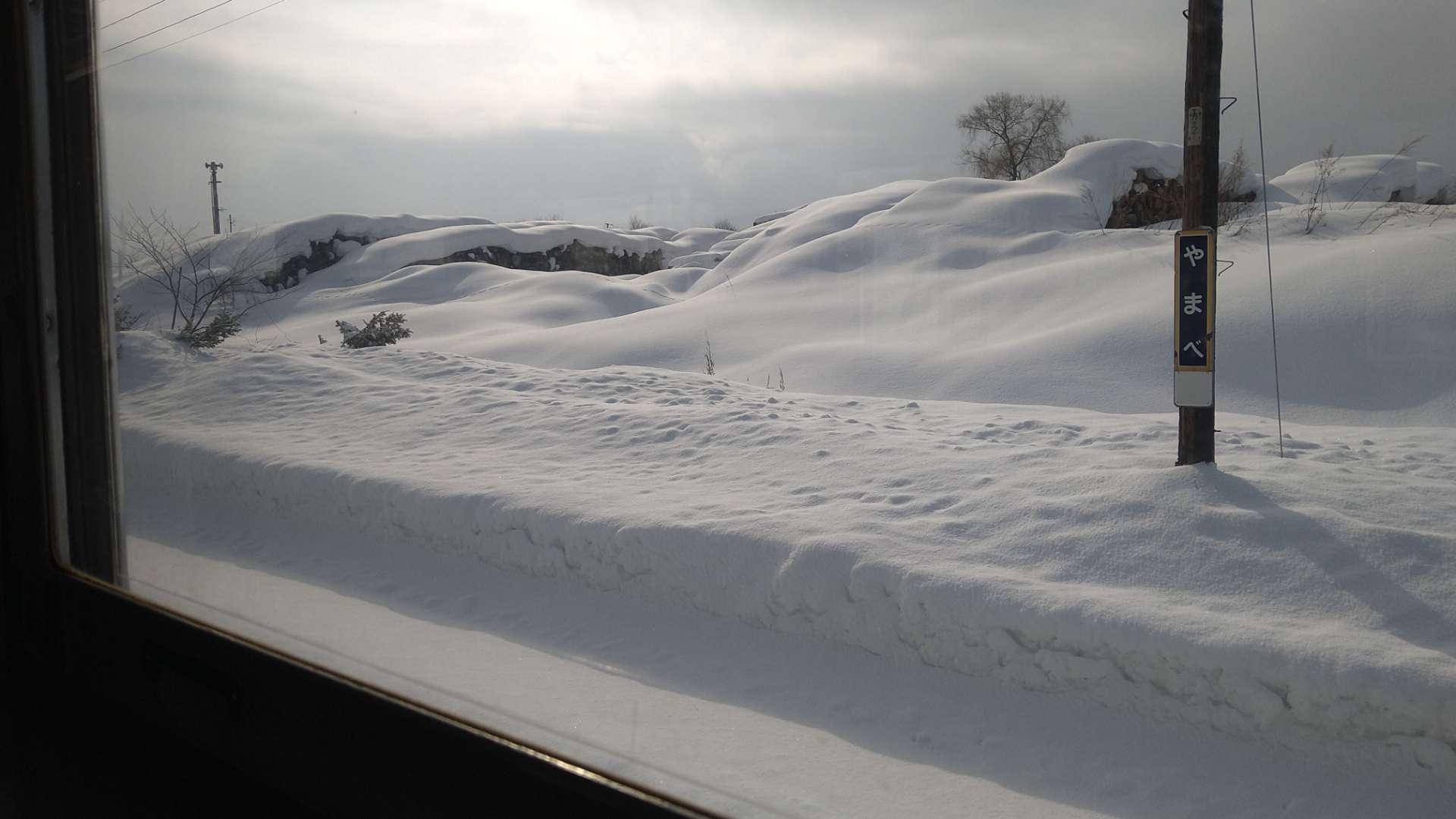 午前０時さんのプロフィール画像