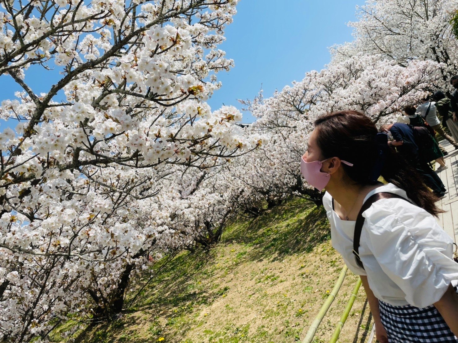 美沙さんのプロフィール画像