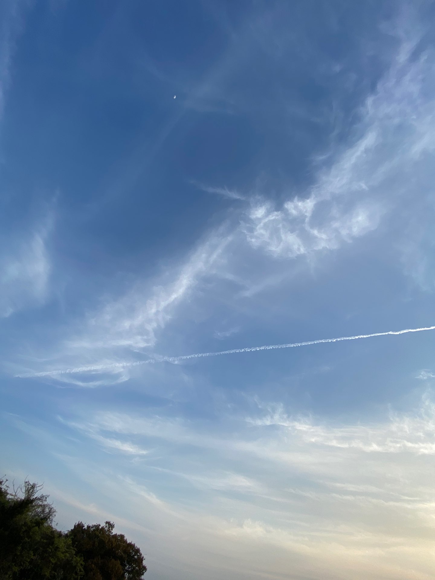 ターぼうさんのプロフィール画像