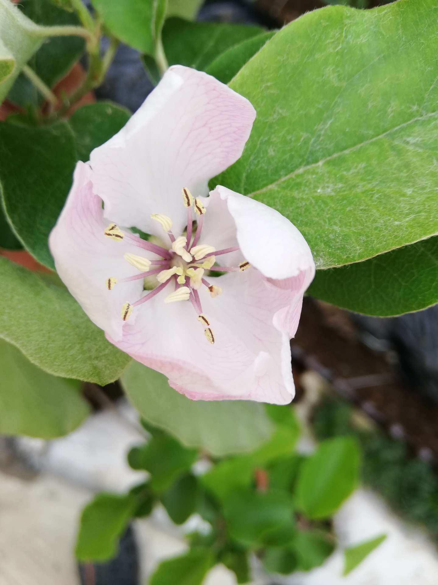 ななこさんのプロフィール画像