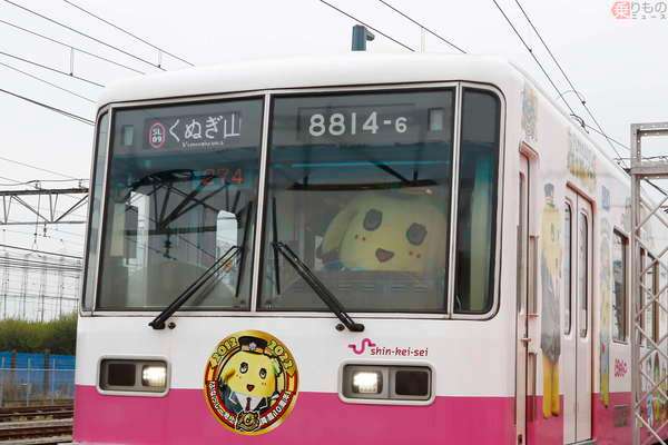 橋本卓哉さんのプロフィール画像