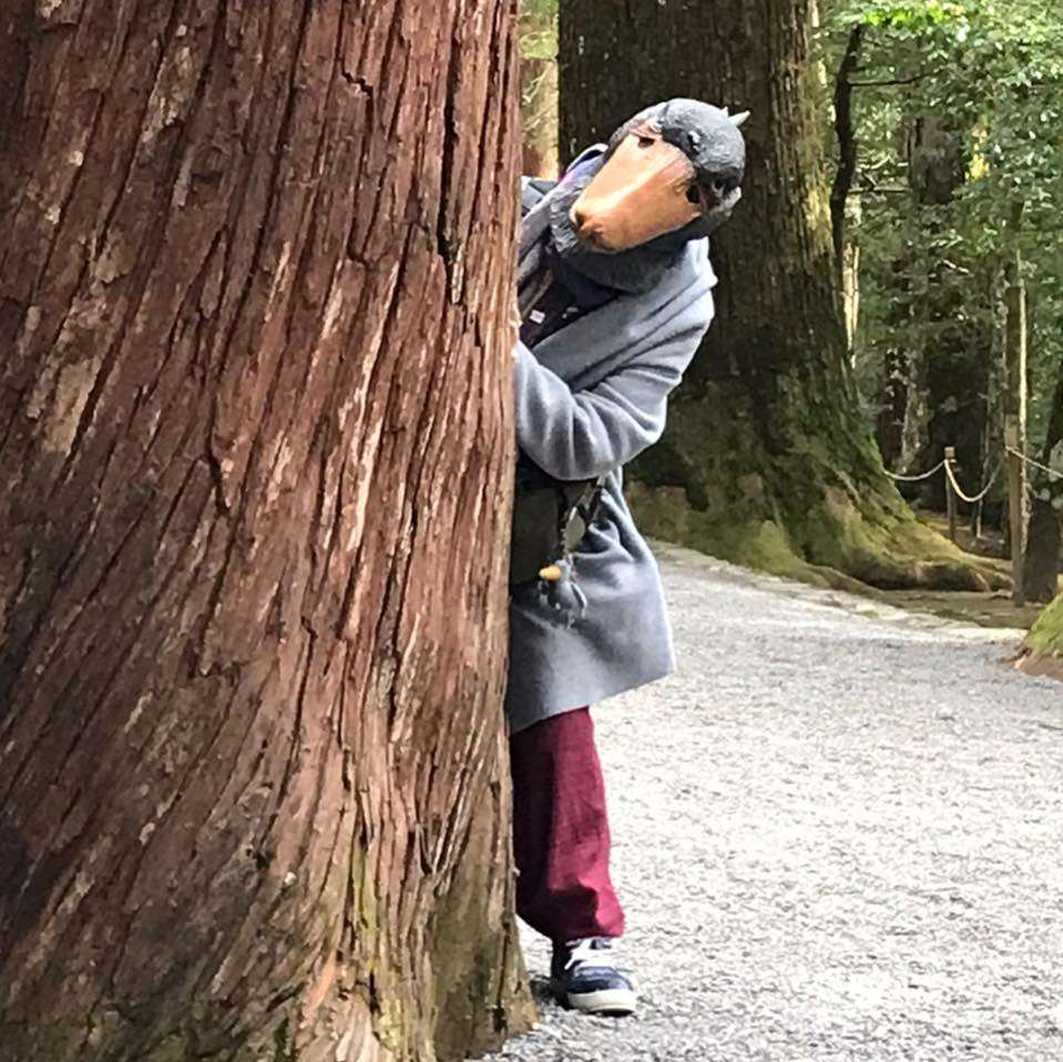 あかい竜さんのプロフィール画像