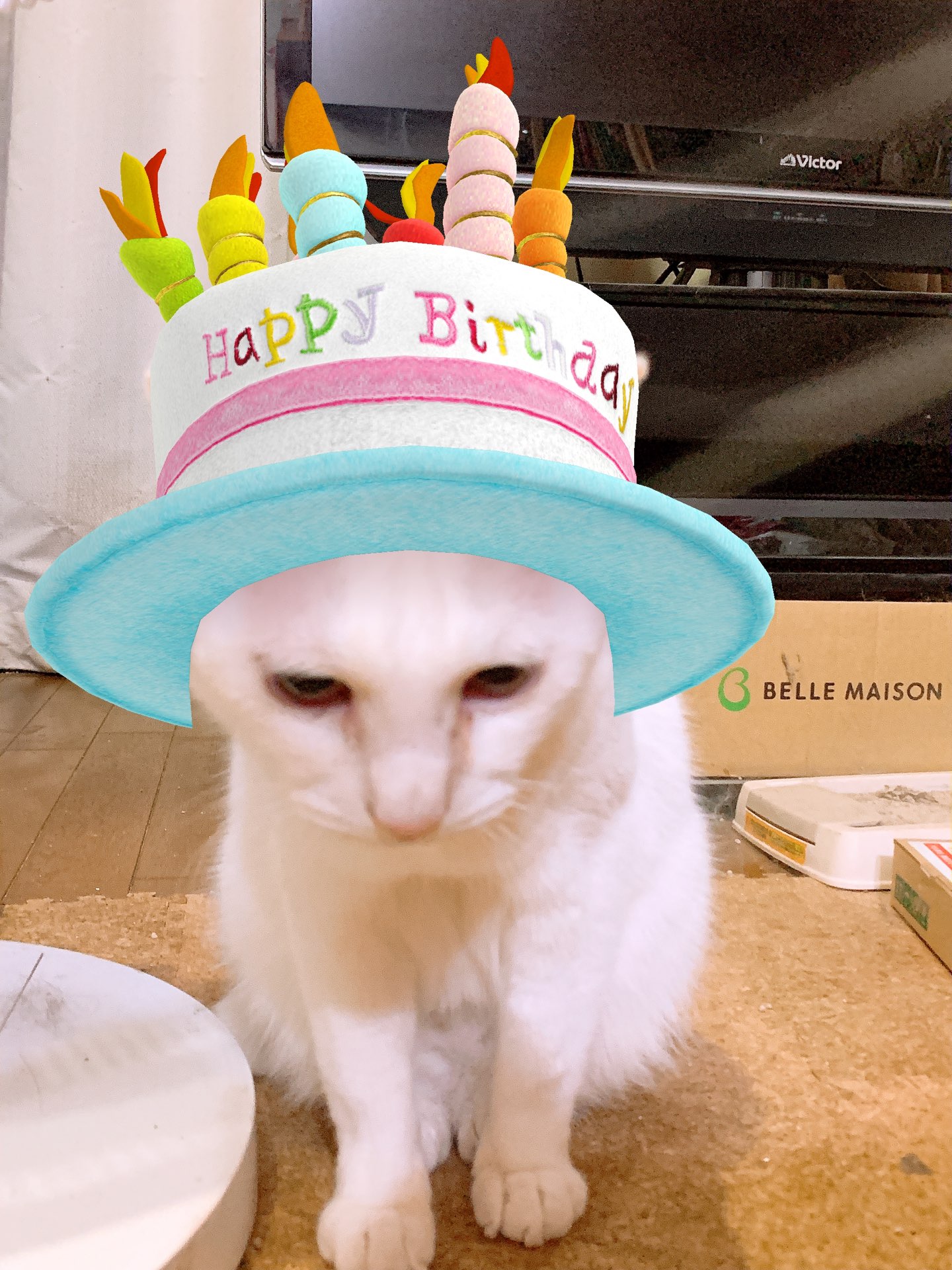 煌姫（キラヒメ）さんのプロフィール画像