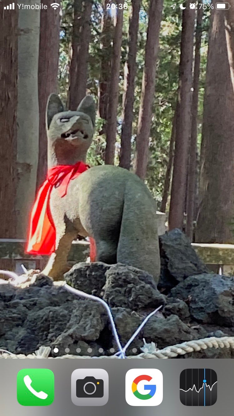 猫の下僕さんのプロフィール画像